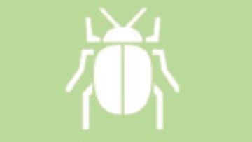 Résistances aux insecticides